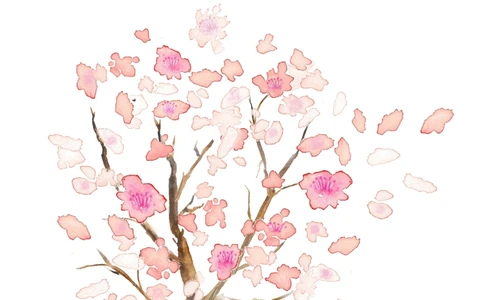 38_简历模板_四页模板封面+简历+自荐信+尾页_