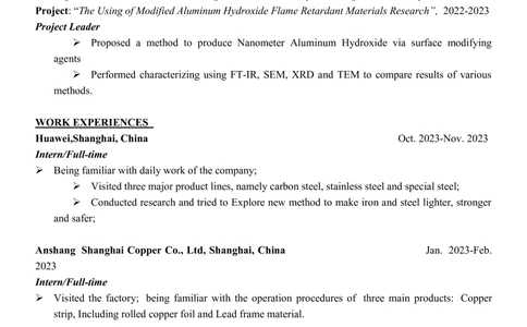 1极简气质英文CV简历(6)_简历模板_英文简历模版86套2025版_