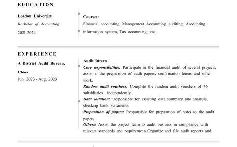 1极简气质英文CV简历(11)_简历模板_英文简历模版86套2025版_