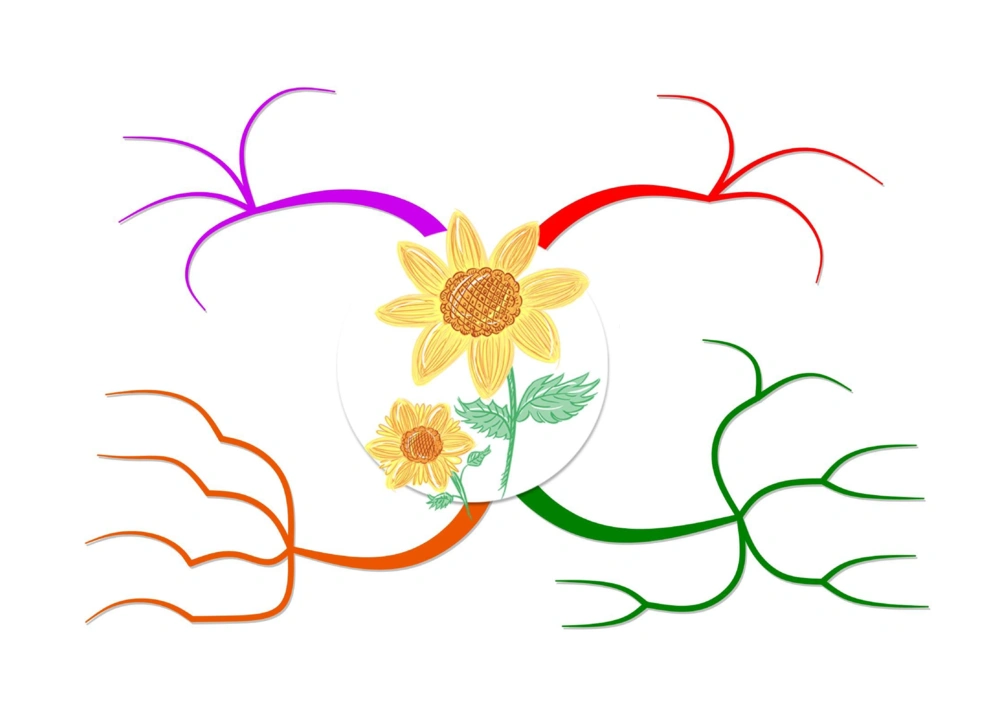 50套彩色导图_小学生思维导图模板50套