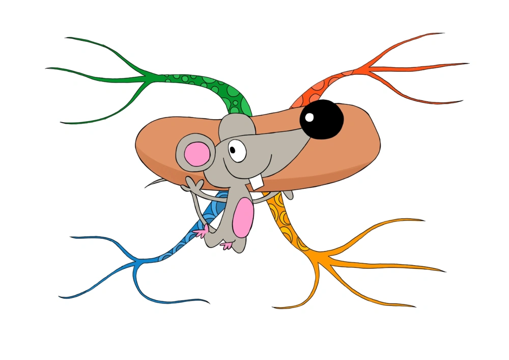 50套彩色导图_小学生思维导图模板50套
