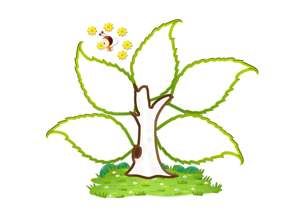 50套彩色导图_小学生思维导图模板50套