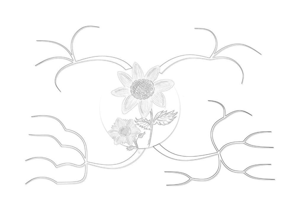 50套黑白导图_小学生思维导图模板50套