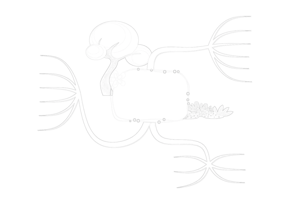 50套黑白导图_小学生思维导图模板50套