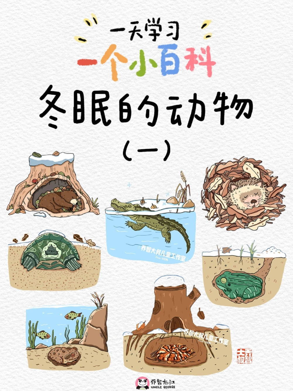 一天一个小百科&mdash;&mdash;冬眠的动物（一）_中小学精品资料(高清可打印)_百科知识大全集312份高清资料整理版