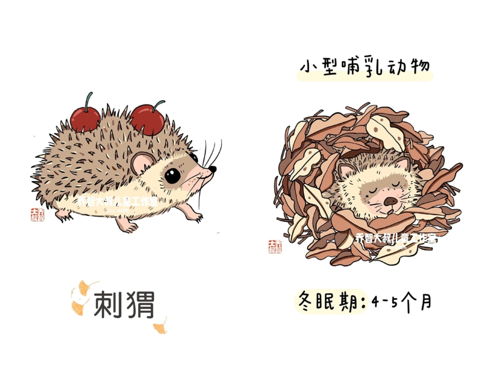 一天一个小百科&mdash;&mdash;冬眠的动物（一）_中小学精品资料(高清可打印)_百科知识大全集312份高清资料整理版