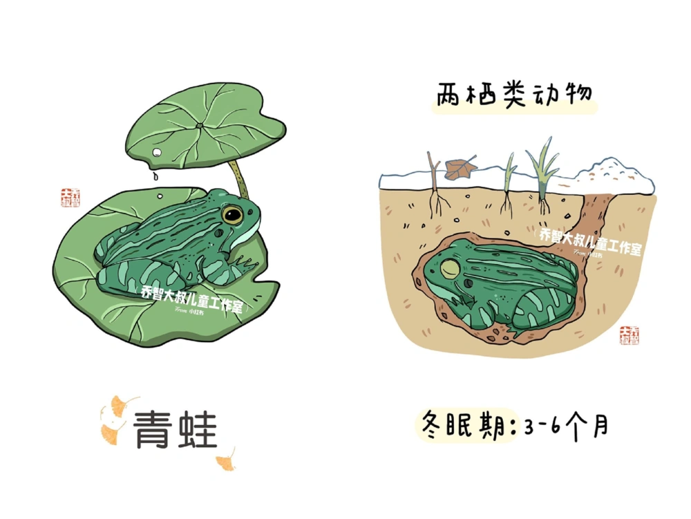 一天一个小百科&mdash;&mdash;冬眠的动物（一）_中小学精品资料(高清可打印)_百科知识大全集312份高清资料整理版