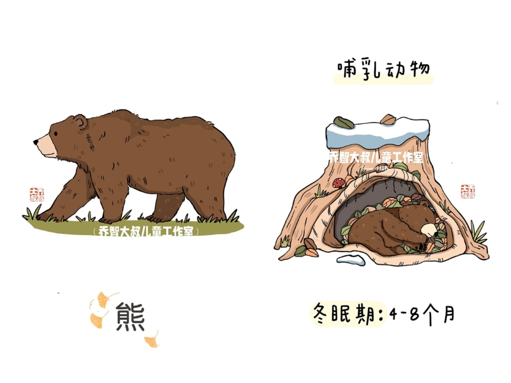 一天一个小百科&mdash;&mdash;冬眠的动物（一）_中小学精品资料(高清可打印)_百科知识大全集312份高清资料整理版