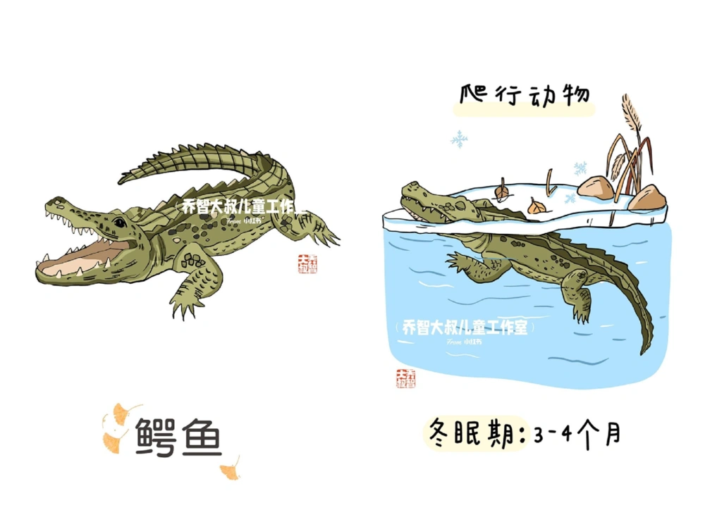 一天一个小百科&mdash;&mdash;冬眠的动物（一）_中小学精品资料(高清可打印)_百科知识大全集312份高清资料整理版