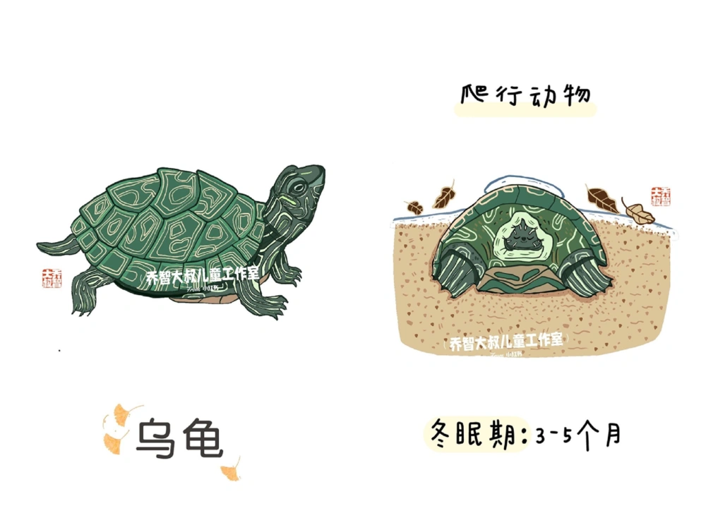 一天一个小百科&mdash;&mdash;冬眠的动物（一）_中小学精品资料(高清可打印)_百科知识大全集312份高清资料整理版