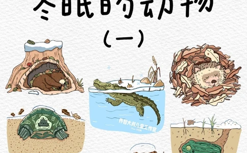 一天一个小百科&mdash;&mdash;冬眠的动物（一）_中小学精品资料(高清可打印)_百科知识大全集312份高清资料整理版