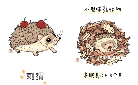 一天一个小百科&mdash;&mdash;冬眠的动物（一）_中小学精品资料(高清可打印)_百科知识大全集312份高清资料整理版