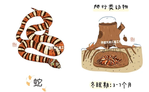 一天一个小百科&mdash;&mdash;冬眠的动物（一）_中小学精品资料(高清可打印)_百科知识大全集312份高清资料整理版