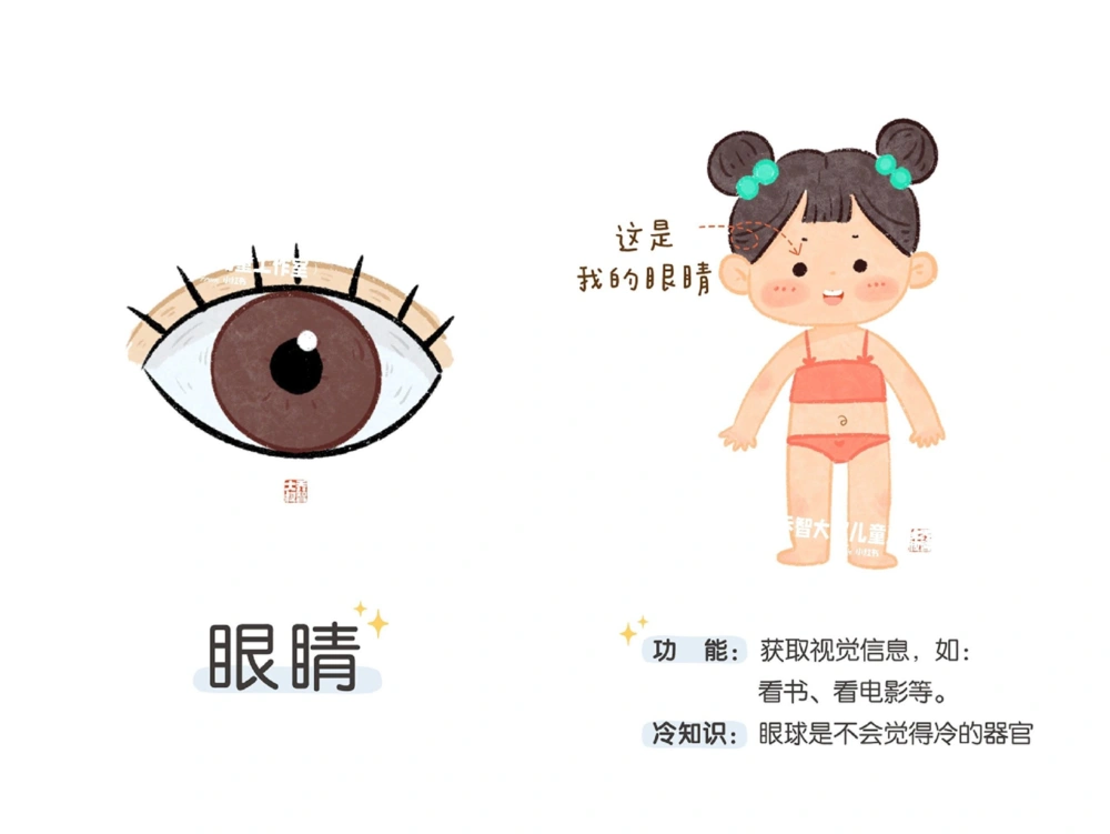 一天一个小百科&mdash;身体认知科普启蒙（一）_中小学精品资料(高清可打印)_百科知识大全集312份高清资料整理版