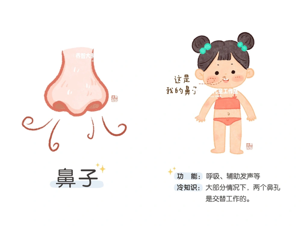 一天一个小百科&mdash;身体认知科普启蒙（一）_中小学精品资料(高清可打印)_百科知识大全集312份高清资料整理版