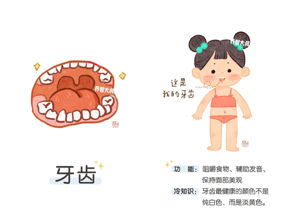 一天一个小百科&mdash;身体认知科普启蒙（一）_中小学精品资料(高清可打印)_百科知识大全集312份高清资料整理版