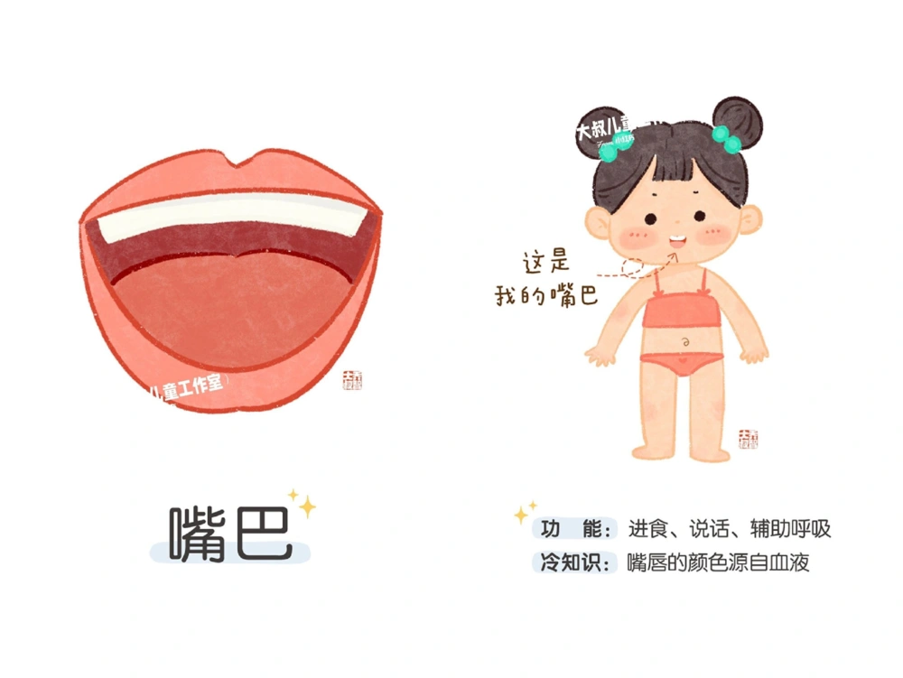 一天一个小百科&mdash;身体认知科普启蒙（一）_中小学精品资料(高清可打印)_百科知识大全集312份高清资料整理版