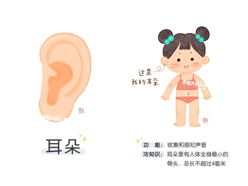 一天一个小百科&mdash;身体认知科普启蒙（一）_中小学精品资料(高清可打印)_百科知识大全集312份高清资料整理版