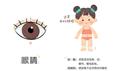 一天一个小百科&mdash;身体认知科普启蒙（一）_中小学精品资料(高清可打印)_百科知识大全集312份高清资料整理版