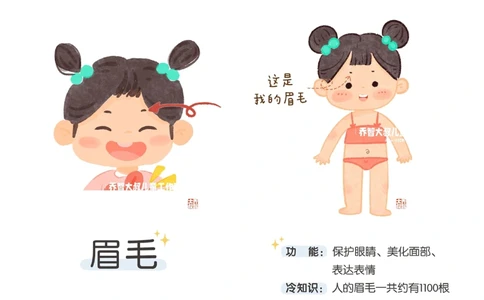 一天一个小百科&mdash;身体认知科普启蒙（一）_中小学精品资料(高清可打印)_百科知识大全集312份高清资料整理版