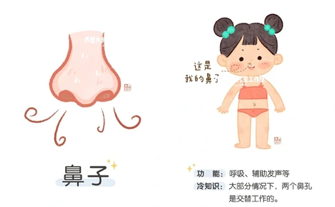 一天一个小百科&mdash;身体认知科普启蒙（一）_中小学精品资料(高清可打印)_百科知识大全集312份高清资料整理版