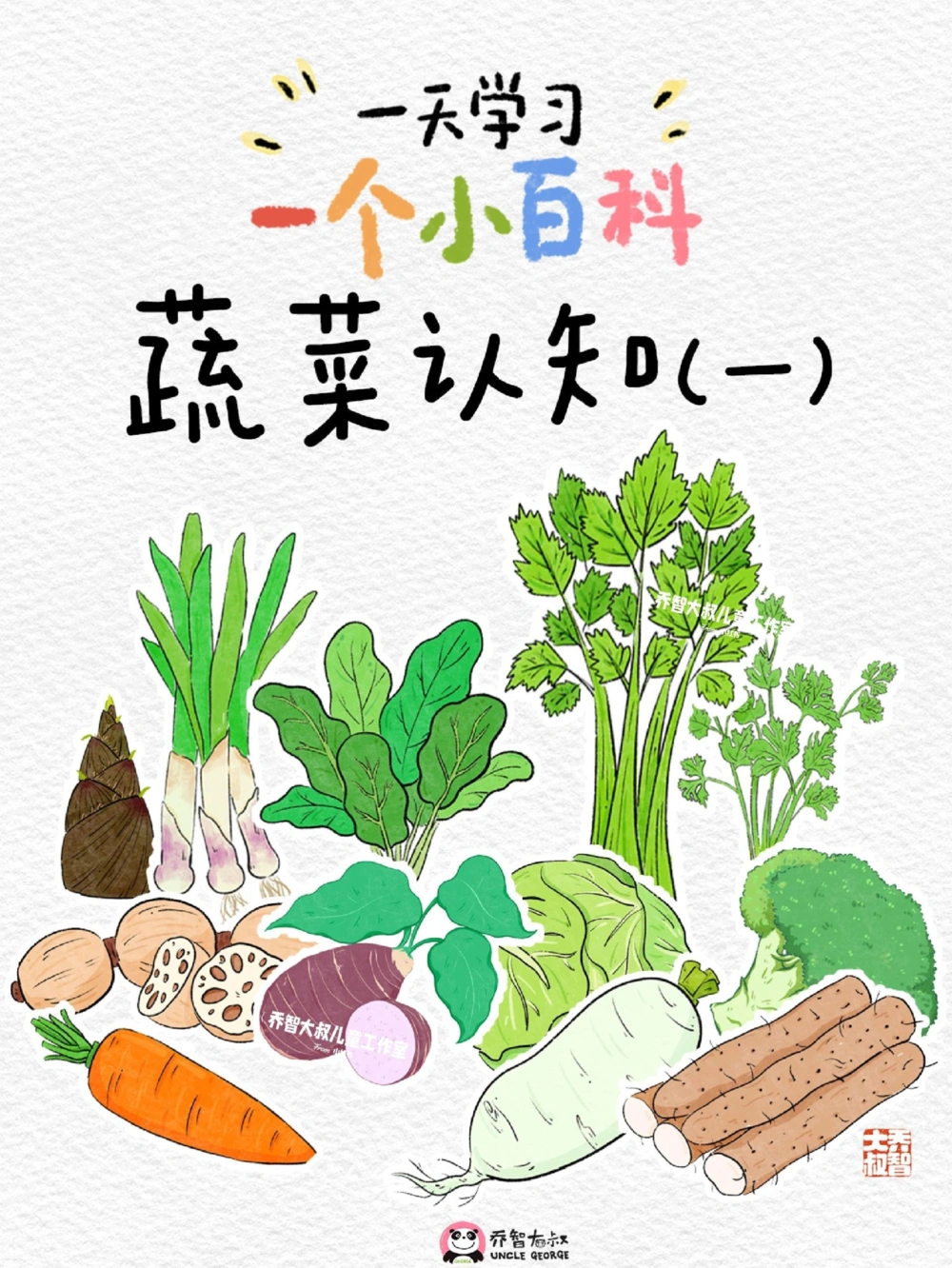 一天一个小百科&mdash;&mdash;常见蔬菜认知（一）_中小学精品资料(高清可打印)_百科知识大全集312份高清资料整理版