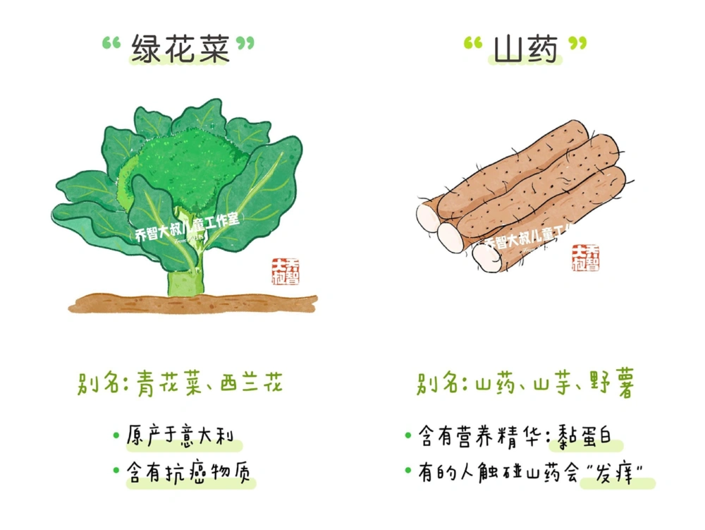 一天一个小百科&mdash;&mdash;常见蔬菜认知（一）_中小学精品资料(高清可打印)_百科知识大全集312份高清资料整理版