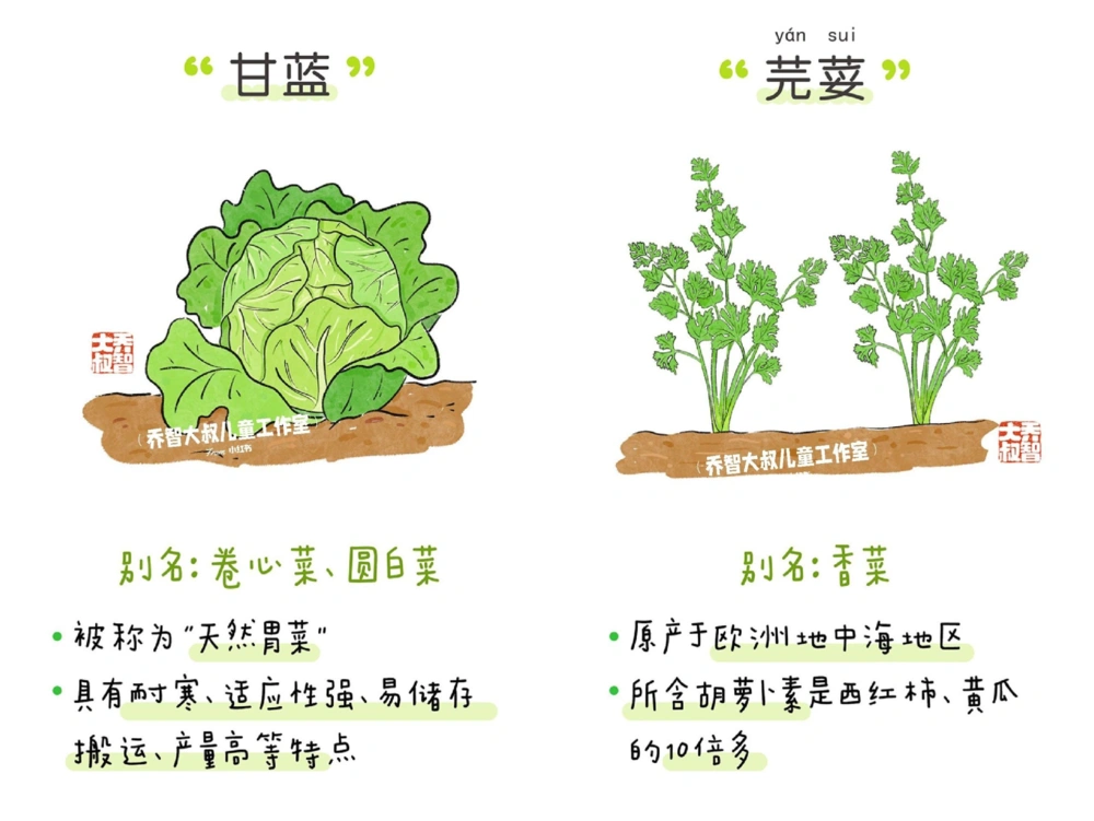 一天一个小百科&mdash;&mdash;常见蔬菜认知（一）_中小学精品资料(高清可打印)_百科知识大全集312份高清资料整理版
