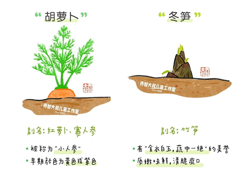 一天一个小百科&mdash;&mdash;常见蔬菜认知（一）_中小学精品资料(高清可打印)_百科知识大全集312份高清资料整理版