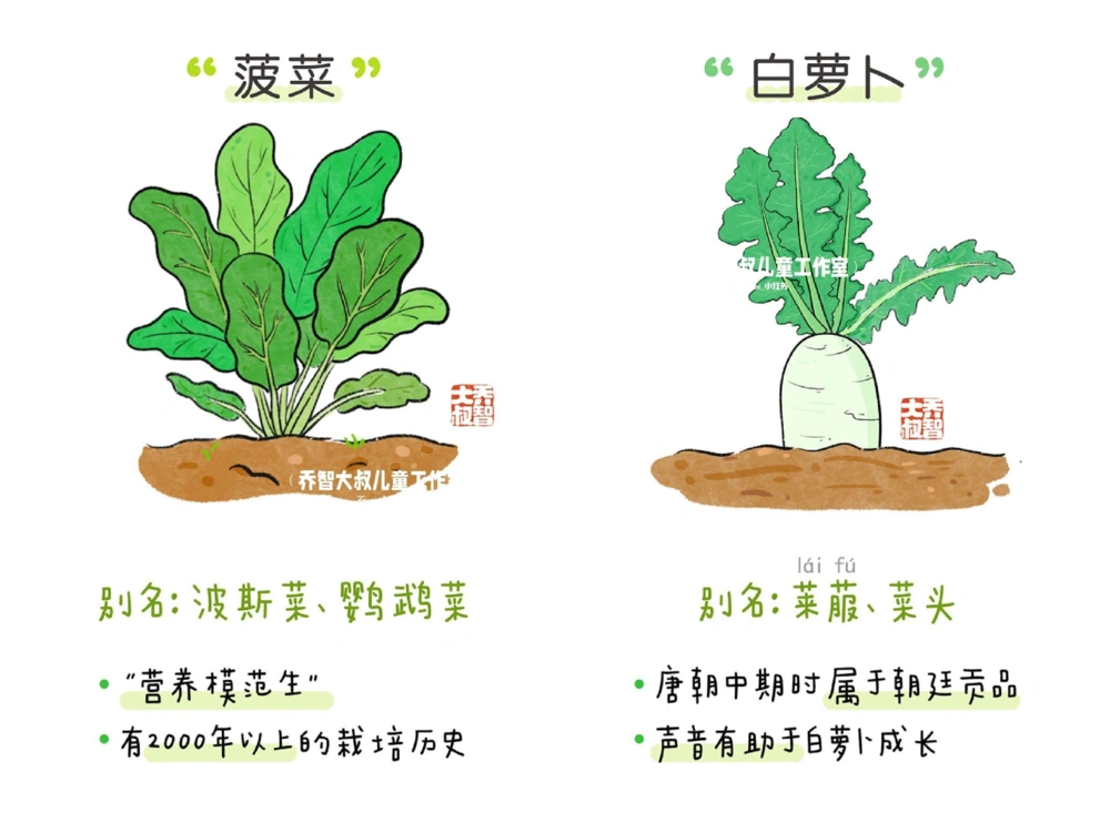 一天一个小百科&mdash;&mdash;常见蔬菜认知（一）_中小学精品资料(高清可打印)_百科知识大全集312份高清资料整理版