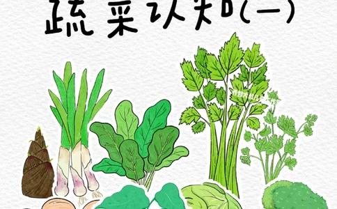 一天一个小百科&mdash;&mdash;常见蔬菜认知（一）_中小学精品资料(高清可打印)_百科知识大全集312份高清资料整理版