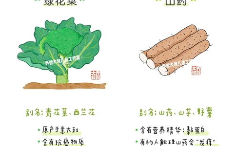 一天一个小百科&mdash;&mdash;常见蔬菜认知（一）_中小学精品资料(高清可打印)_百科知识大全集312份高清资料整理版