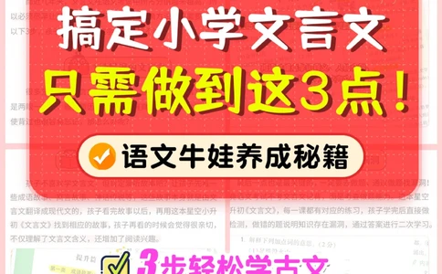 3步搞定小学文言文-从看不懂到拿高分_2025抖音最火小学全科全年级资料大全集超完整版_小学语文VIP资源禁止外传