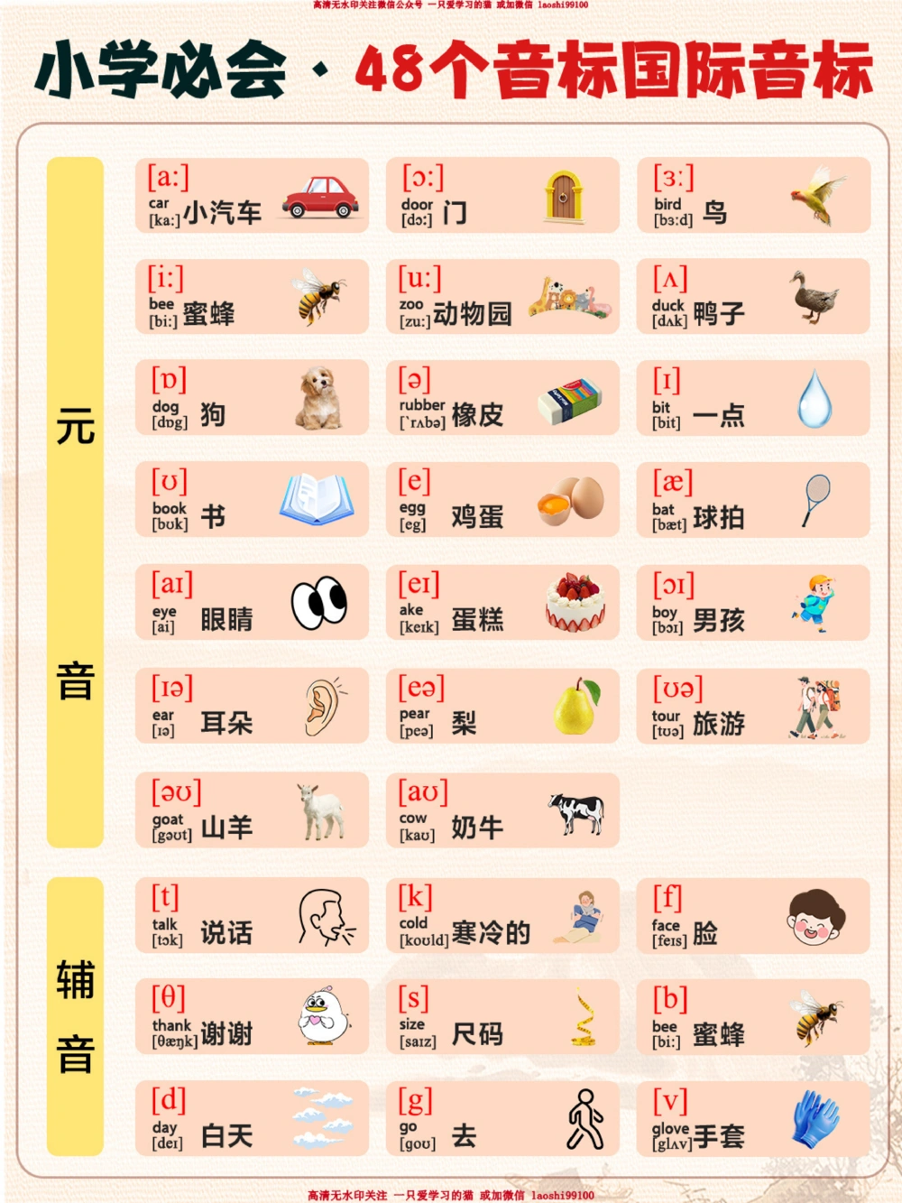 48个国际音标-看这两张图就够了_2025抖音最火小学全科全年级资料大全集超完整版_小学英语VIP资源禁止外传