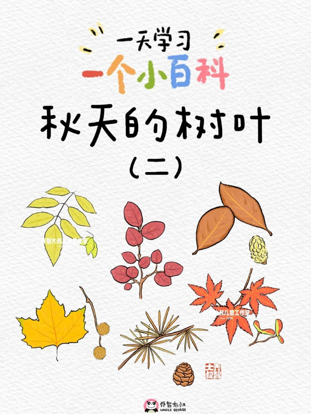 一天学习一个小百科&mdash;秋天的树叶（二）_中小学精品资料(高清可打印)_百科知识大全集312份高清资料整理版