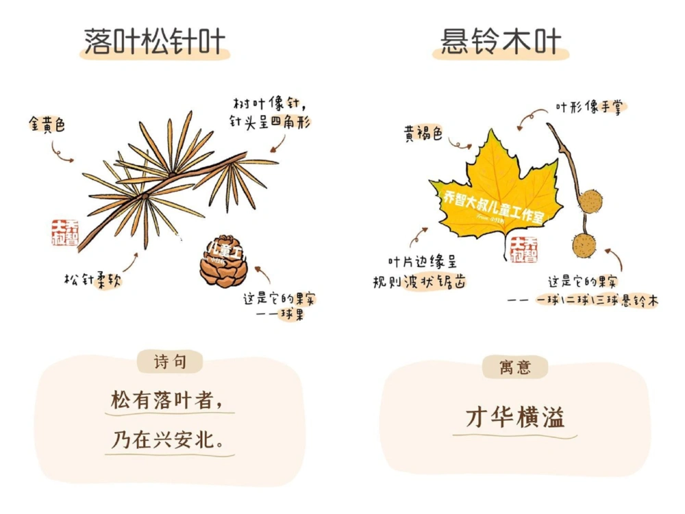 一天学习一个小百科&mdash;秋天的树叶（二）_中小学精品资料(高清可打印)_百科知识大全集312份高清资料整理版