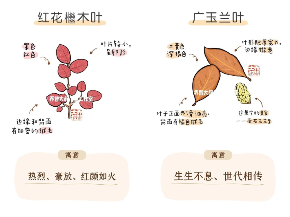 一天学习一个小百科&mdash;秋天的树叶（二）_中小学精品资料(高清可打印)_百科知识大全集312份高清资料整理版