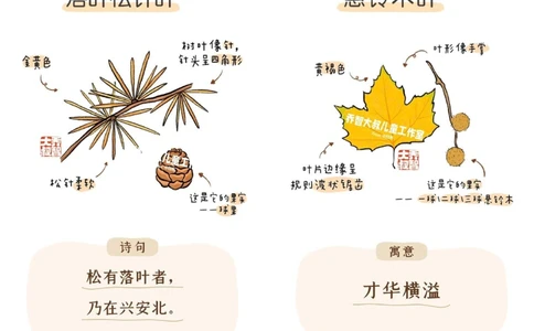 一天学习一个小百科&mdash;秋天的树叶（二）_中小学精品资料(高清可打印)_百科知识大全集312份高清资料整理版