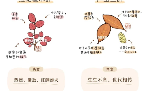 一天学习一个小百科&mdash;秋天的树叶（二）_中小学精品资料(高清可打印)_百科知识大全集312份高清资料整理版