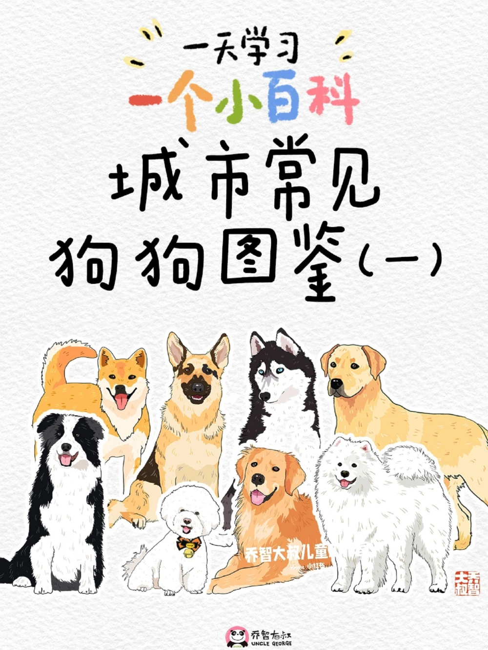 一天一个小百科—常见狗狗品种图鉴（一）_中小学精品资料(高清