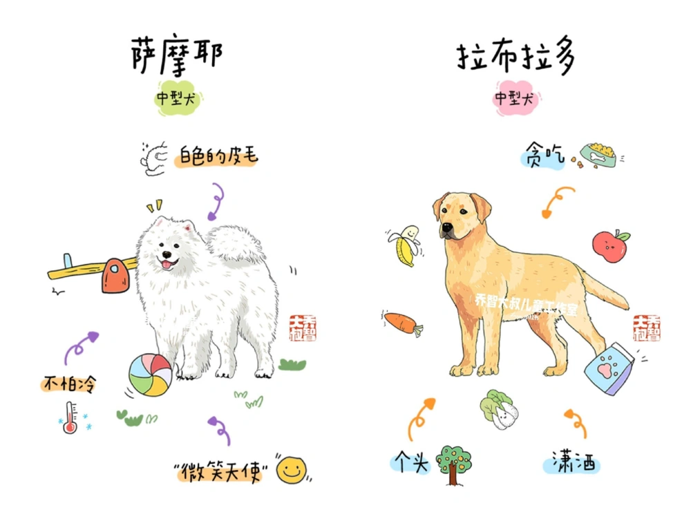 一天一个小百科&mdash;常见狗狗品种图鉴（一）_中小学精品资料(高清可打印)_百科知识大全集312份高清资料整理版