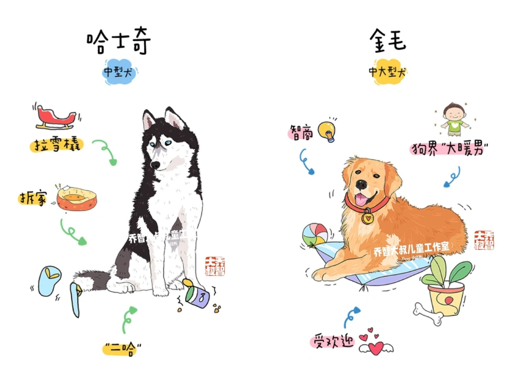 一天一个小百科&mdash;常见狗狗品种图鉴（一）_中小学精品资料(高清可打印)_百科知识大全集312份高清资料整理版