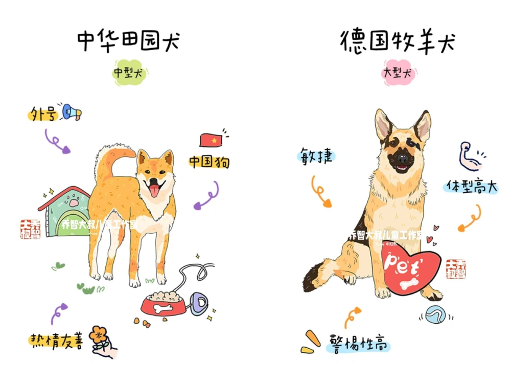 一天一个小百科&mdash;常见狗狗品种图鉴（一）_中小学精品资料(高清可打印)_百科知识大全集312份高清资料整理版