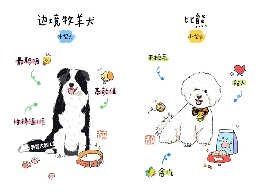 一天一个小百科&mdash;常见狗狗品种图鉴（一）_中小学精品资料(高清可打印)_百科知识大全集312份高清资料整理版