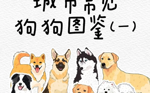 一天一个小百科&mdash;常见狗狗品种图鉴（一）_中小学精品资料(高清可打印)_百科知识大全集312份高清资料整理版