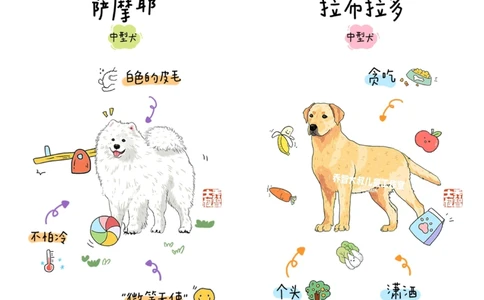 一天一个小百科&mdash;常见狗狗品种图鉴（一）_中小学精品资料(高清可打印)_百科知识大全集312份高清资料整理版