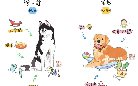 一天一个小百科&mdash;常见狗狗品种图鉴（一）_中小学精品资料(高清可打印)_百科知识大全集312份高清资料整理版