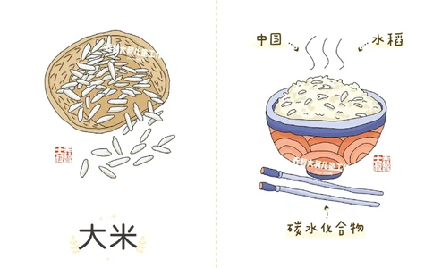 一天一个小百科&mdash;五谷杂粮（一）_中小学精品资料(高清可打印)_百科知识大全集312份高清资料整理版