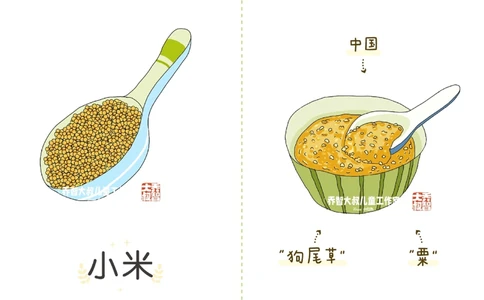 一天一个小百科&mdash;五谷杂粮（一）_中小学精品资料(高清可打印)_百科知识大全集312份高清资料整理版