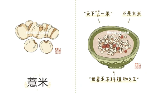 一天一个小百科&mdash;五谷杂粮（一）_中小学精品资料(高清可打印)_百科知识大全集312份高清资料整理版